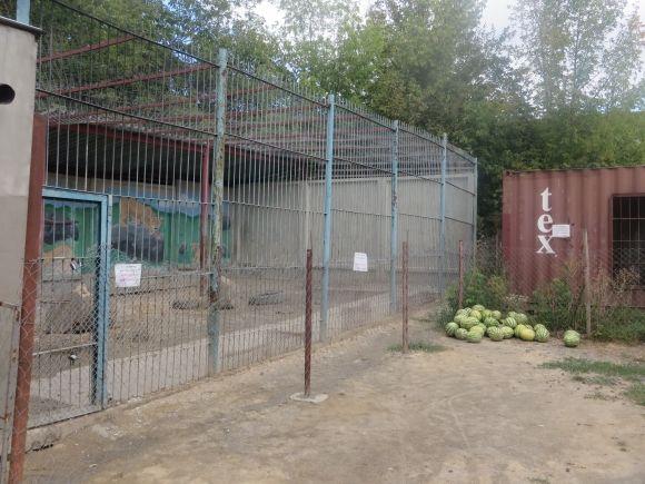 Приватний зоопарк з Дубового переїжджає. Вхід буде платним?, фото №3 на сайті vsim.ua