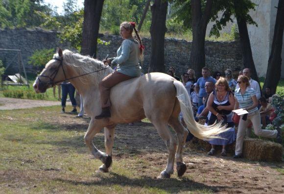 «Старкон фест»: яким був перший середньовічний фестиваль у Старокостянтинові, фото №55 на сайті vsim.ua