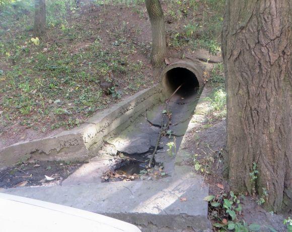 Ями по кісточки. Мешканці Тернопільської скаржаться, що дощ “з’їдає” асфальт біля будинку на сайті vsim.ua Ями по кісточки. Мешканці Тернопільської скаржаться, що дощ “з’їдає” асфальт біля будинку, фото №3 на сайті vsim.ua