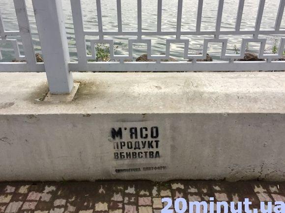 Фото дня: вегетаріанці обмалювали Набережну ставу на сайті 20minut.ua Фото дня: вегетаріанці обмалювали Набережну ставу, фото №1 на сайті 20minut.ua