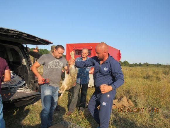 Мисливці не купують патрони, а розмножують фауну (оновлено) на сайті 20minut.ua Мисливці не купують патрони, а розмножують фауну (оновлено), фото №5 на сайті 20minut.ua