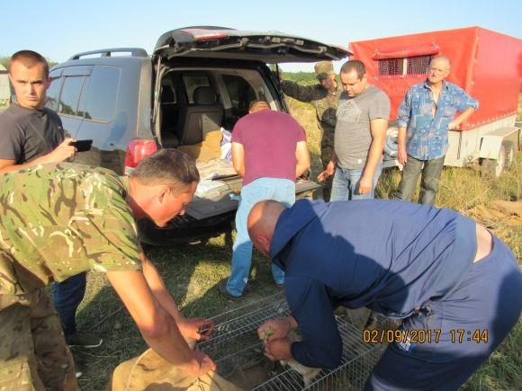 Мисливці не купують патрони, а розмножують фауну (оновлено) на сайті 20minut.ua Мисливці не купують патрони, а розмножують фауну (оновлено), фото №6 на сайті 20minut.ua