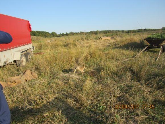 Мисливці не купують патрони, а розмножують фауну (оновлено) на сайті 20minut.ua Мисливці не купують патрони, а розмножують фауну (оновлено), фото №7 на сайті 20minut.ua
