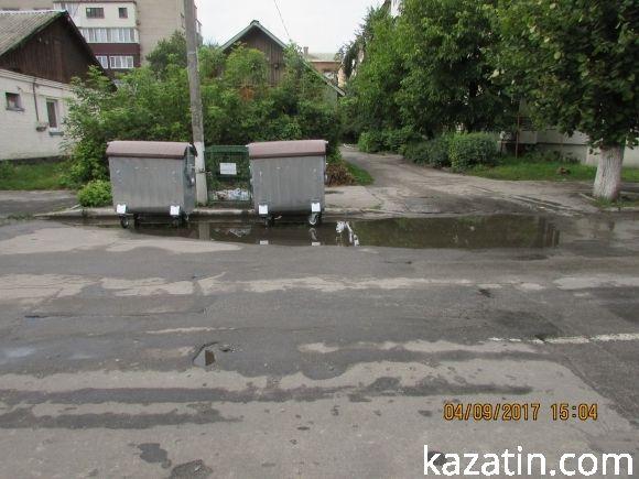 Козятинське життя на болоті, фото №11 на сайті 20minut.ua