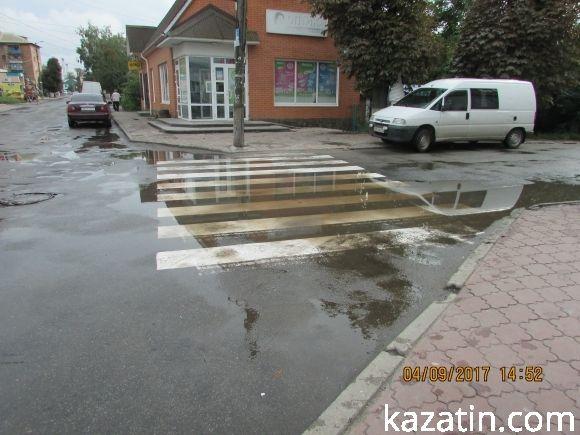 Козятинське життя на болоті, фото №2 на сайті 20minut.ua