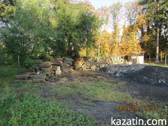 Козятинське життя на болоті, фото №21 на сайті 20minut.ua