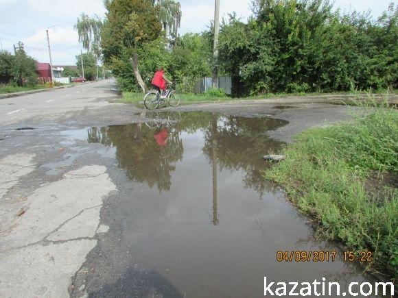 Козятинське життя на болоті, фото №12 на сайті 20minut.ua