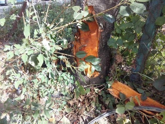 Хроніка ДТП за тиждень: побільшало аварій і п’яних за кермом на сайті vsim.ua Хроніка ДТП за тиждень: побільшало аварій і п’яних за кермом, фото №1 на сайті vsim.ua