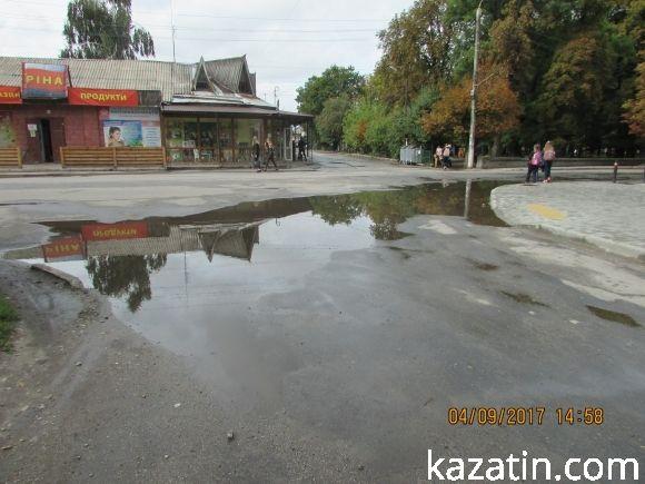 Козятинське життя на болоті, фото №7 на сайті 20minut.ua