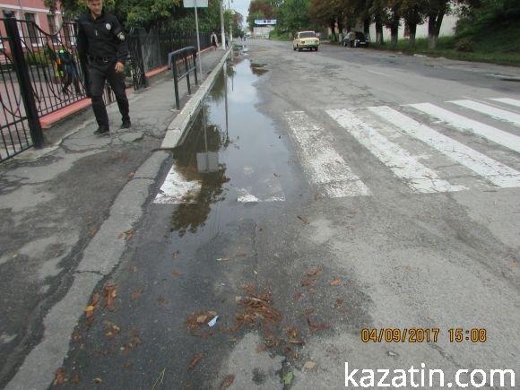 Козятинське життя на болоті, фото №1 на сайті 20minut.ua