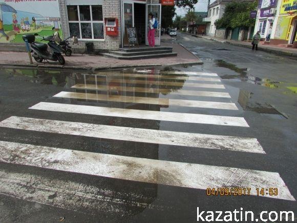 Козятинське життя на болоті, фото №3 на сайті 20minut.ua