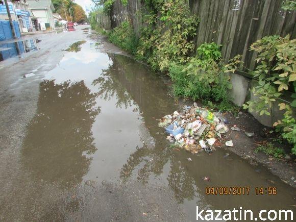 Козятинське життя на болоті, фото №4 на сайті 20minut.ua