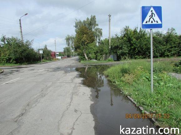 Козятинське життя на болоті, фото №13 на сайті 20minut.ua