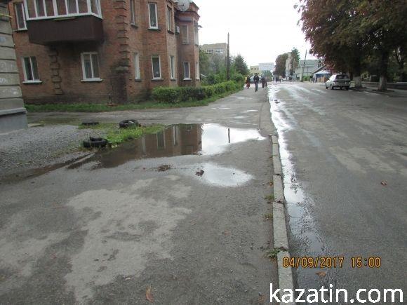 Козятинське життя на болоті, фото №8 на сайті 20minut.ua