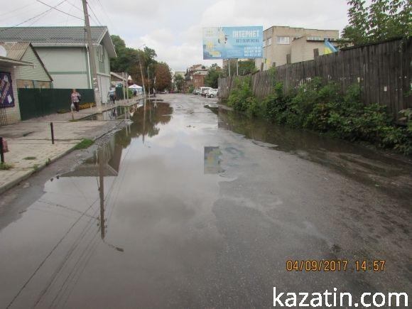 Козятинське життя на болоті, фото №5 на сайті 20minut.ua