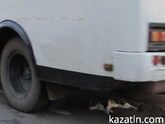 Козятинські моменти 7 вересня на сайті 20minut.ua Козятинські моменти 7 вересня, фото №5 на сайті 20minut.ua