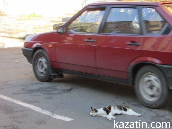 Козятинські моменти 7 вересня на сайті 20minut.ua Козятинські моменти 7 вересня, фото №4 на сайті 20minut.ua