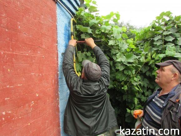 Козятинські моменти 7 вересня на сайті 20minut.ua Козятинські моменти 7 вересня, фото №2 на сайті 20minut.ua