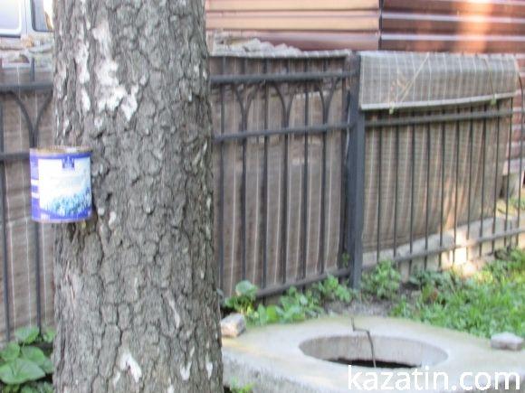 Козятинські моменти 7 вересня на сайті 20minut.ua Козятинські моменти 7 вересня, фото №10 на сайті 20minut.ua