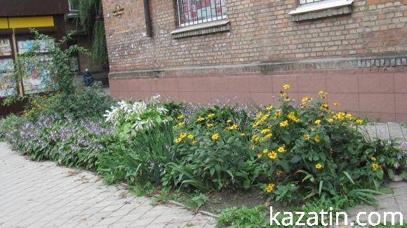 Яскраві квітники прикрашають місто на сайті 20minut.ua Яскраві квітники прикрашають місто, фото №3 на сайті 20minut.ua