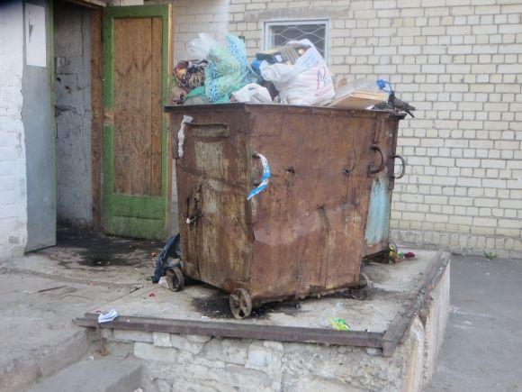 Діряві баки і смердючі калюжі. Мешканці Зарічанської скаржаться, що двір "потопає" у смітті, фото №1 на сайті vsim.ua