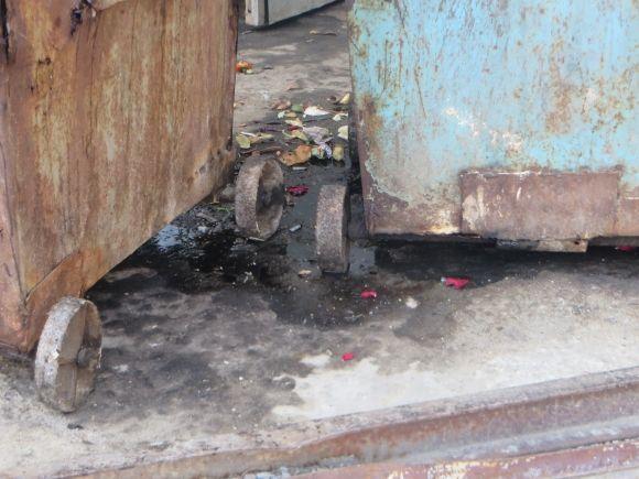 Діряві баки і смердючі калюжі. Мешканці Зарічанської скаржаться, що двір "потопає" у смітті, фото №5 на сайті vsim.ua