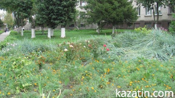 Яскраві квітники прикрашають місто на сайті 20minut.ua Яскраві квітники прикрашають місто, фото №13 на сайті 20minut.ua