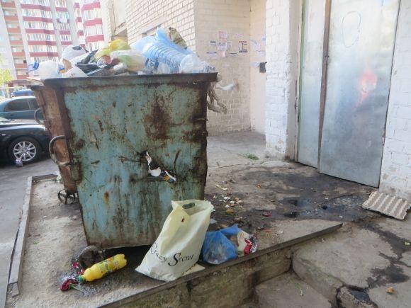 Діряві баки і смердючі калюжі. Мешканці Зарічанської скаржаться, що двір "потопає" у смітті, фото №6 на сайті vsim.ua