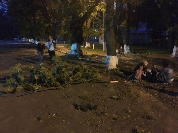На дворічну дитину впала гілляка. Лікарі поставили помилковий діагноз та відпустили на сайті 20minut.ua На дворічну дитину впала гілляка. Лікарі поставили помилковий діагноз та відпустили, фото №2 на сайті 20minut.ua
