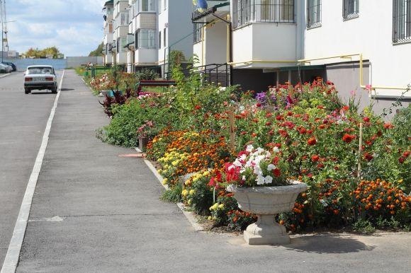«Наче маленьке село». Як зміниться Академічний на сайті 20minut.ua «Наче маленьке село». Як зміниться Академічний, фото №4 на сайті 20minut.ua