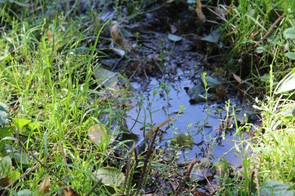 Новини Вінниці - фото з На Космонавтів шукали, хто пошкодив криниці. Виявилось, їх просто лагодили На Космонавтів шукали, хто пошкодив криниці. Виявилось, їх просто лагодили, фото №3 на сайті 20minut.ua
