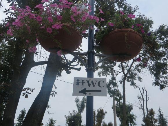 Тестуємо туалет за мільйон: чи доступний він для візочників?, фото №10 на сайті vsim.ua