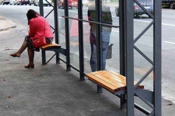 «Спиною» до дороги поставили зупинку біля Центрального парку, фото №1 на сайті 20minut.ua