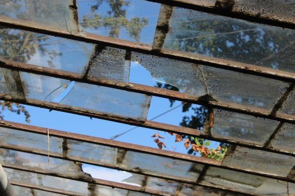 Місто може залишитись без паркових квітів: теплиці “Зеленбуду” побив град на сайті 20minut.ua Місто може залишитись без паркових квітів: теплиці “Зеленбуду” побив град, фото №7 на сайті 20minut.ua