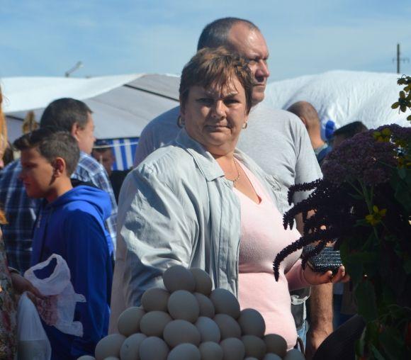 Хлібний тризуб і креативні фотозони: якою була виставка «Агро-Поділля 2017» (ФОТО), фото №26 на сайті vsim.ua