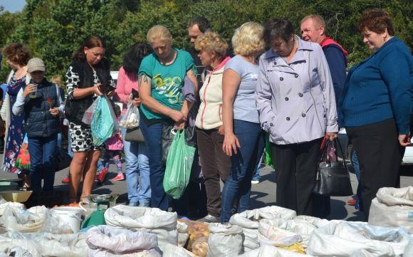 Хлібний тризуб і креативні фотозони: якою була виставка «Агро-Поділля 2017» (ФОТО), фото №3 на сайті vsim.ua