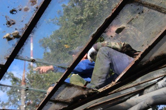 Місто може залишитись без паркових квітів: теплиці “Зеленбуду” побив град на сайті 20minut.ua Місто може залишитись без паркових квітів: теплиці “Зеленбуду” побив град, фото №9 на сайті 20minut.ua
