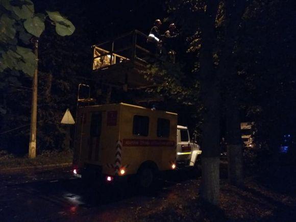 Півсотні повалених дерев і обірвані тролейбусні лінії. На Хмельниччині вирувала негода на сайті vsim.ua Півсотні повалених дерев і обірвані тролейбусні лінії. На Хмельниччині вирувала негода, фото №1 на сайті vsim.ua