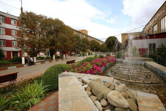 У Хмельницькому обрали переможців конкурсу на найкращий благоустрій, фото №3 на сайті vsim.ua