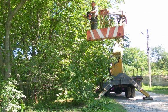 Конфлікт у Щітках: «Сьогодні порубав горіхи, а завтра — мій дім?», фото №6 на сайті 20minut.ua