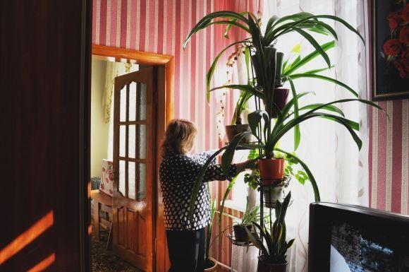 Хто тут живе? Будинок на Грушевського для еліти Проскурова, фото №9 на сайті vsim.ua