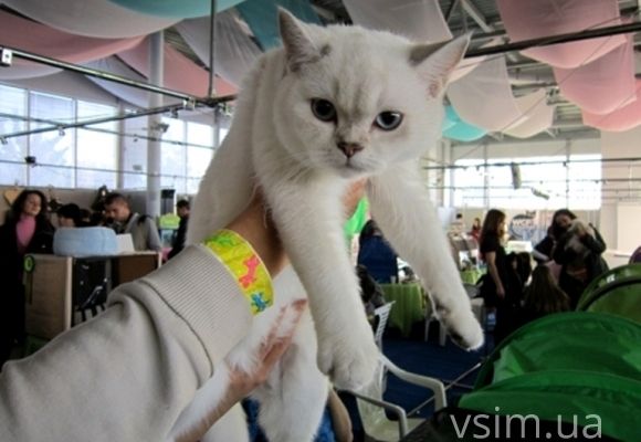 Новини Хмельницького - фото з Куди піти у вихідні 30 вересня і 1 жовтня. ВСІМ рекомендує Куди піти у вихідні 30 вересня і 1 жовтня. ВСІМ рекомендує, фото №2 на сайті vsim.ua