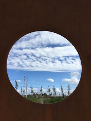 У Голландії цвітуть соняхи в пам’ять про загиблих малайзійського «Боїнга-777», фото №4 на сайті 20minut.ua