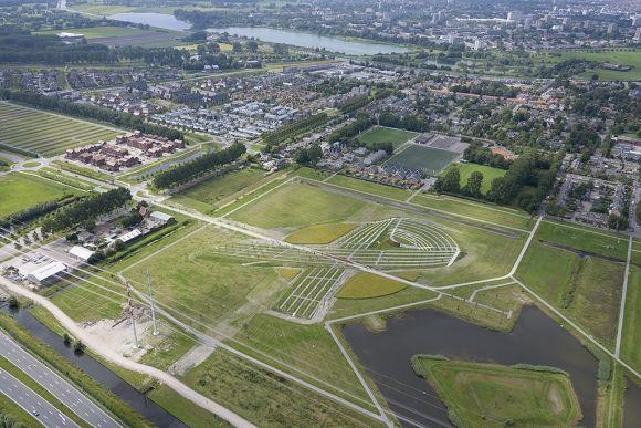 У Голландії цвітуть соняхи в пам’ять про загиблих малайзійського «Боїнга-777», фото №2 на сайті 20minut.ua