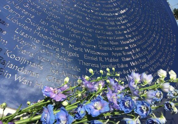 У Голландії цвітуть соняхи в пам’ять про загиблих малайзійського «Боїнга-777», фото №5 на сайті 20minut.ua