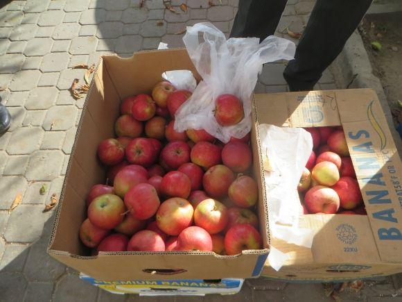 Експерти розповіли, чому можуть подорожчати яблука, фото №1 на сайті vsim.ua