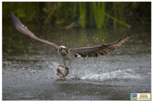 Хмельничан запрошують відвідати “Фотовернісаж на Покрову”, фото №1 на сайті vsim.ua