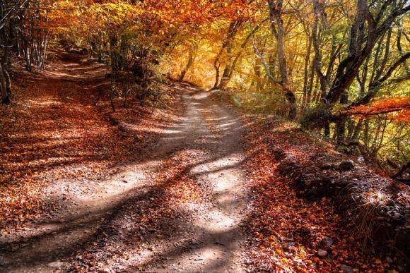 9 жовтня  -  Іоанна Богослова. Що варто робити в цей день, фото №1 на сайті vsim.ua