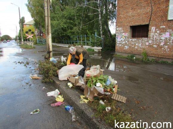 Нова зграя бродячих собак тероризує центр міста на сайті 20minut.ua Нова зграя бродячих собак тероризує центр міста, фото №6 на сайті 20minut.ua