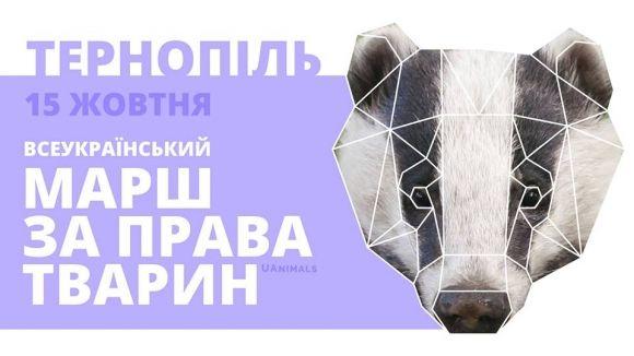 Тернополяни вийдуть на марш за права тварин, фото №1 на сайті 20minut.ua